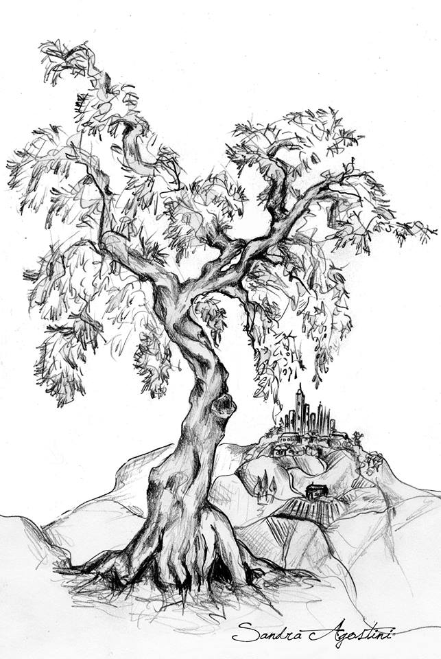 disegno olivo