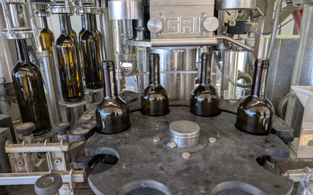 Regina Ribelle Vernaccia di San Gimignano 2024